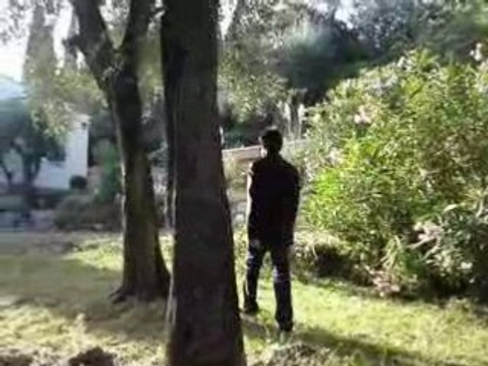 Martic : La Guerre du Citron 🍋