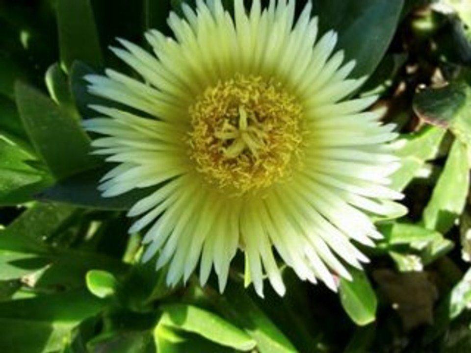 Guided Meditation Secret Techniques