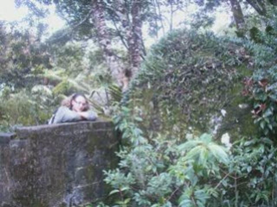 Lamington NP: Un des plus beaux parcs d'Australie 🌿