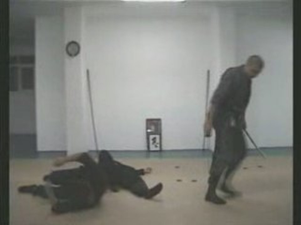 Bujinkan Free Training in Istanbul 2007