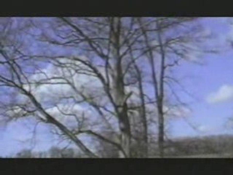 Behind the Scenes of Geriatric Park 11 🎬: The Making of Our First Fanfilm