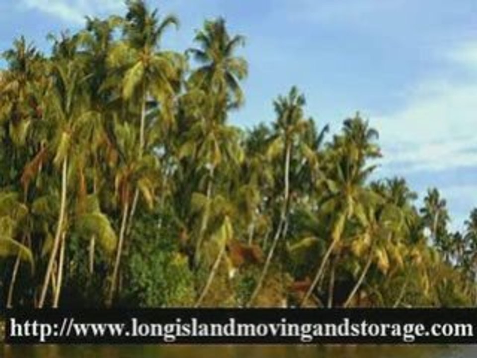 Long Island Moving & Storage: Expert Moving Services 🚚