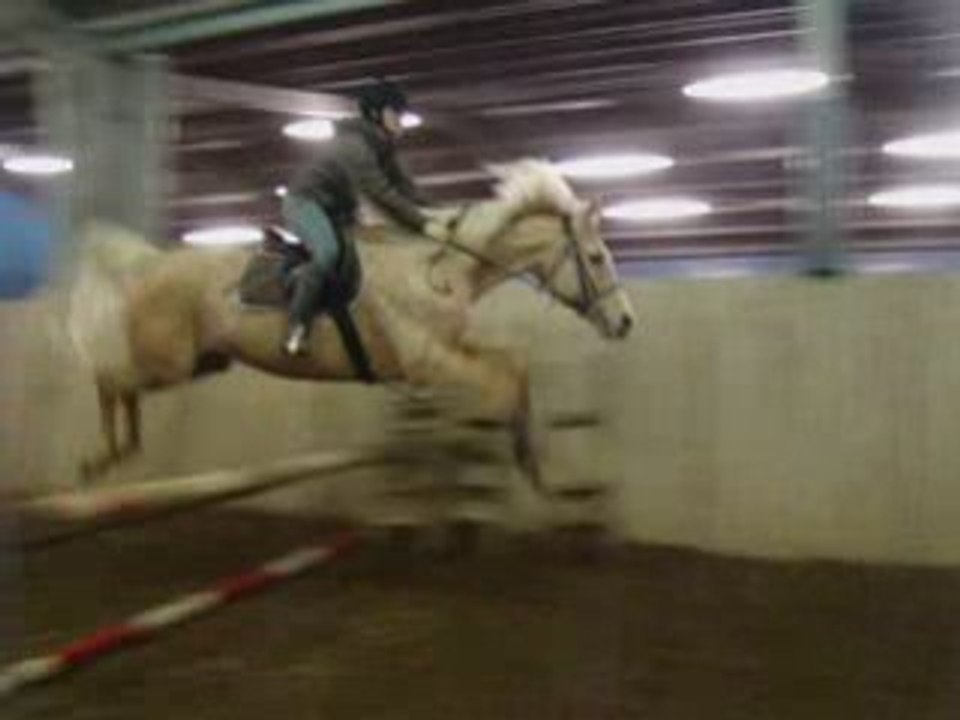 Helma: A Brief Overview