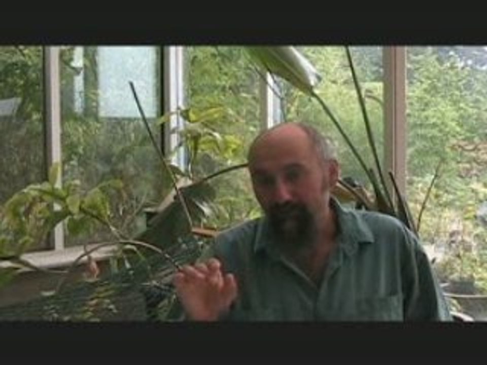 The Language of Mathematics 2: Video Instruction Guide