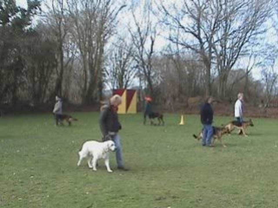 L'éducation en groupe