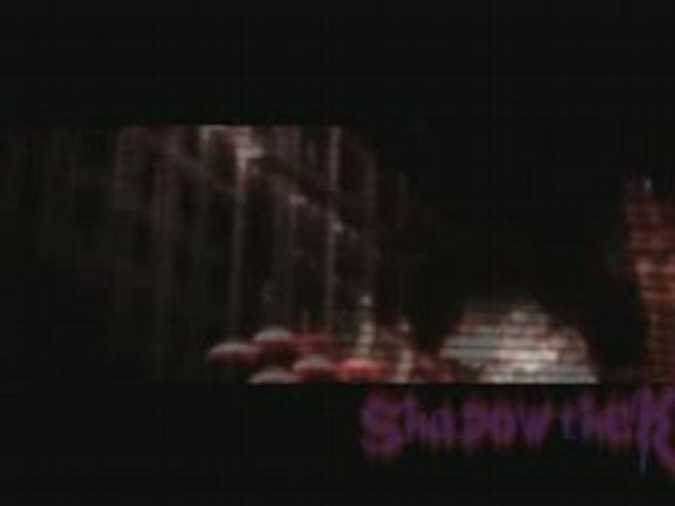 Rivaled Theories ~ Shadow VS Rouge (Let Go - Red)