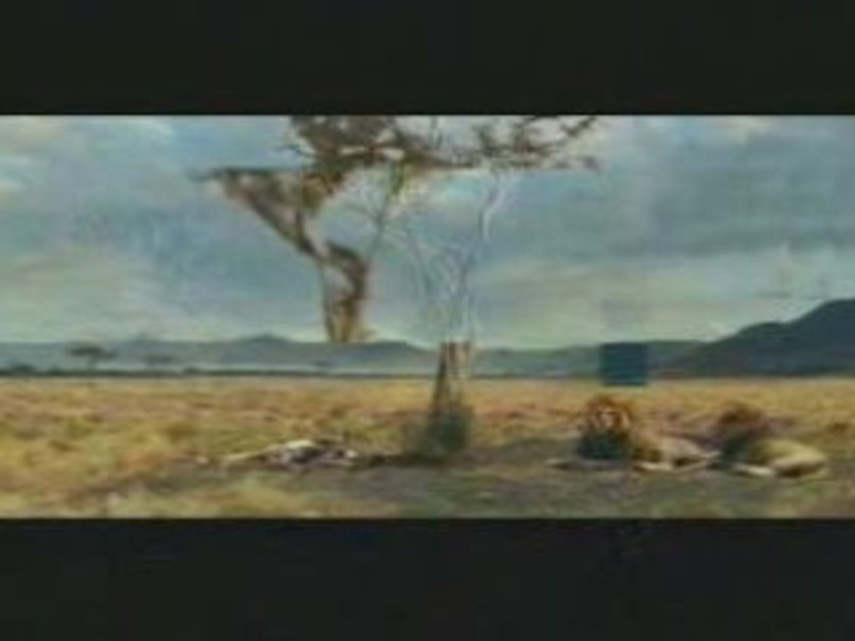 cours gazelle ! cours !