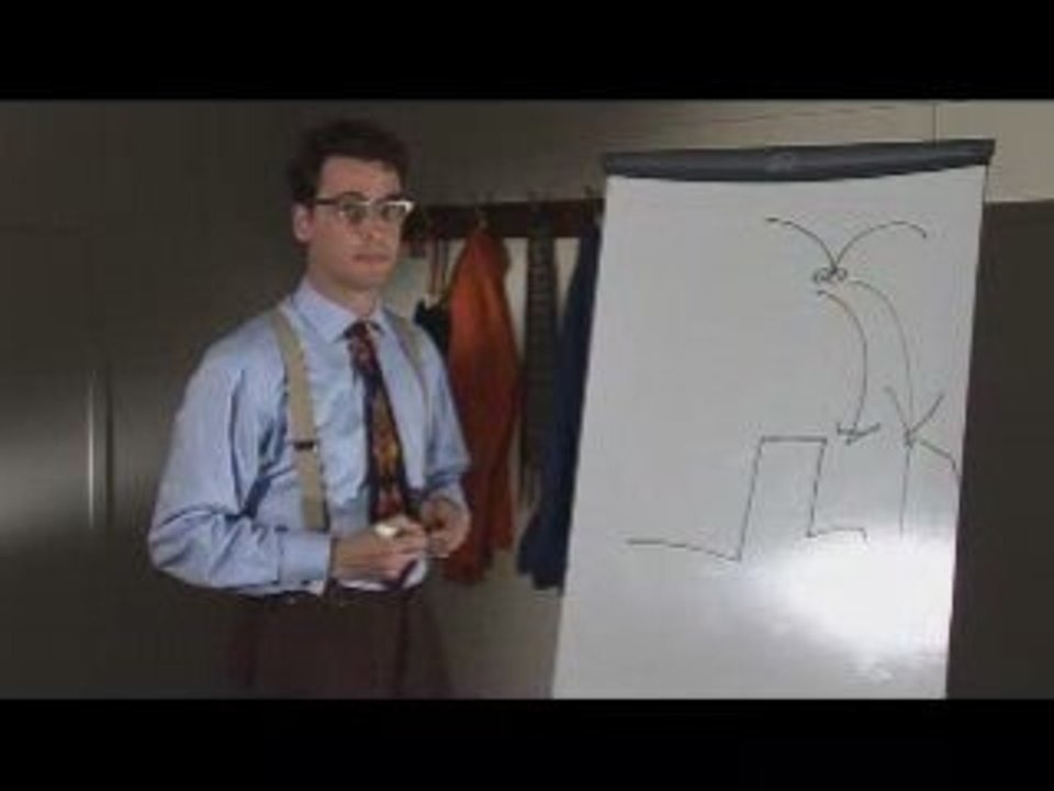 English - BBC - Idioms - Birds