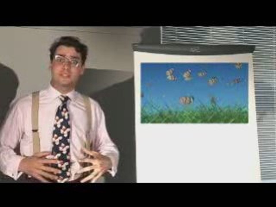 English - BBC - Idioms - Insects