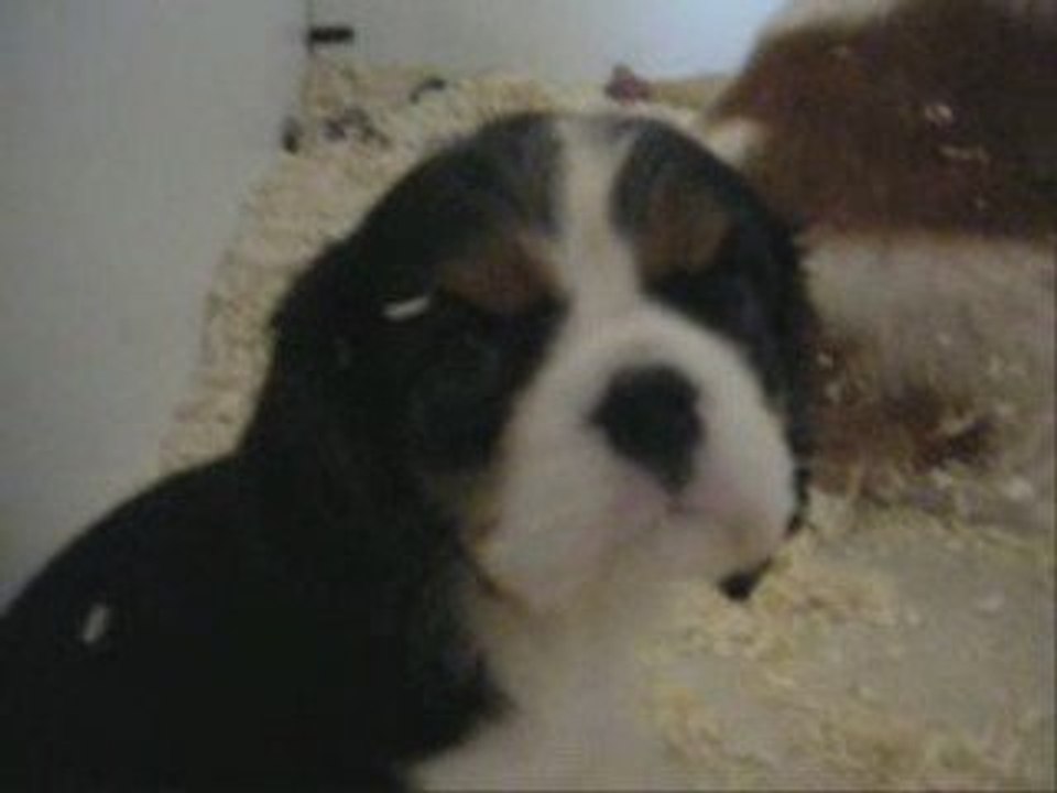 Emmy Award Recognition 🏆