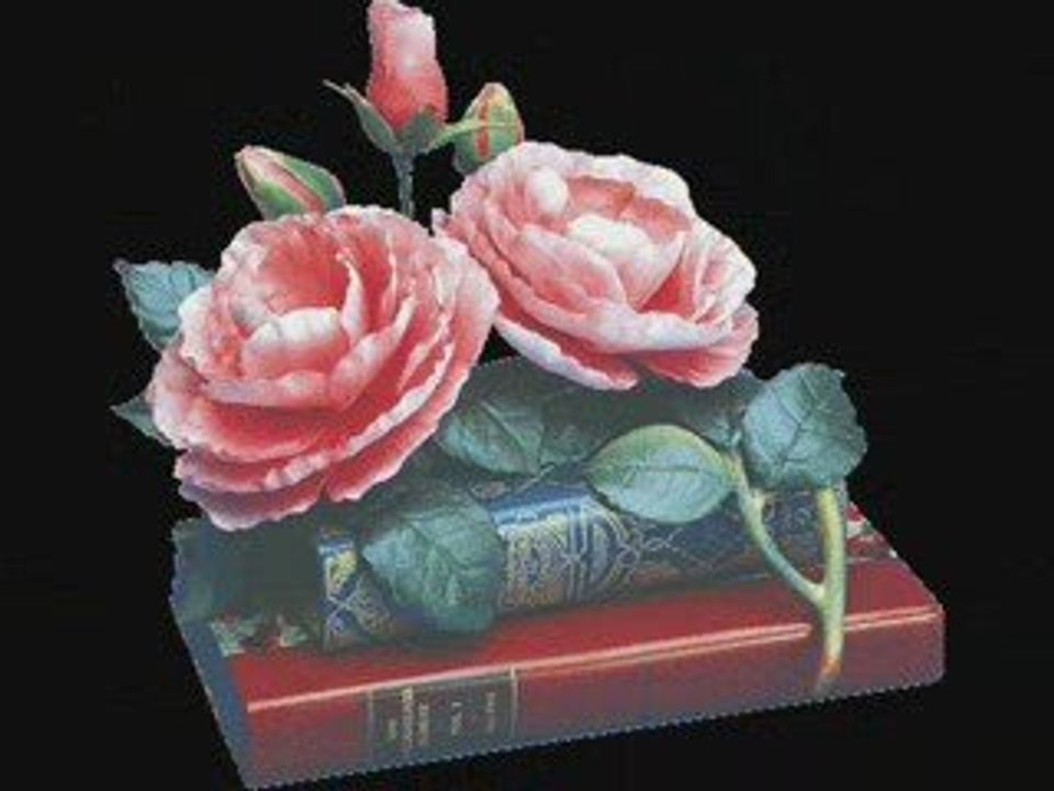 Amoureux ou en attente : Crazy Horse en vidéo 💃