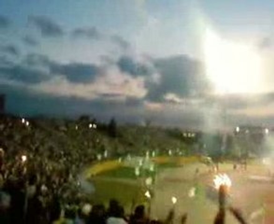 L'algérino en folie