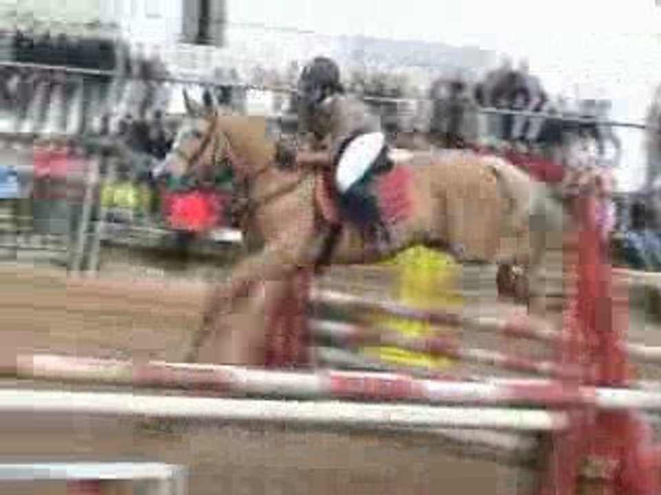 cso 29.03.09 club 2 avec Helma - - - -  1ère place !!!!