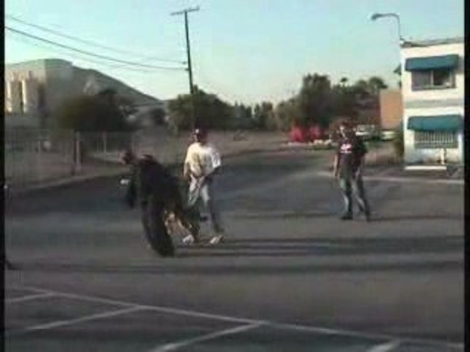 K9 Attack - Dog Attack