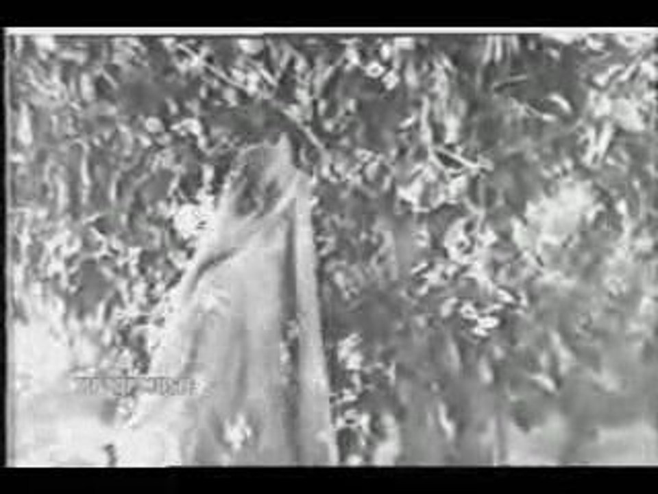 APNA BANA KAY (GENTERMAN)NASEEM BEGUM