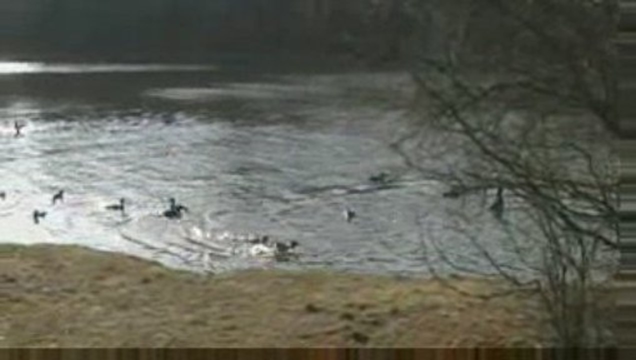 Весна! Весна!