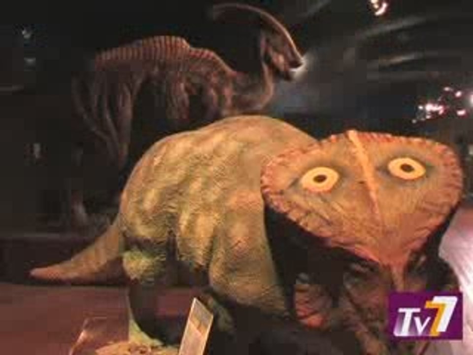 Exposition "L'homme de Néanderthal"