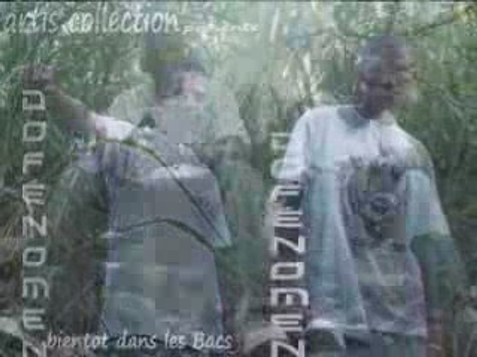 Artis Collection présente - DoFénomen