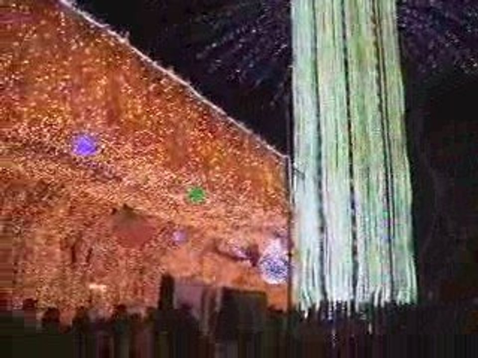 2008 Gotemba Kogen Tokinosumika Illumination - New Year Version