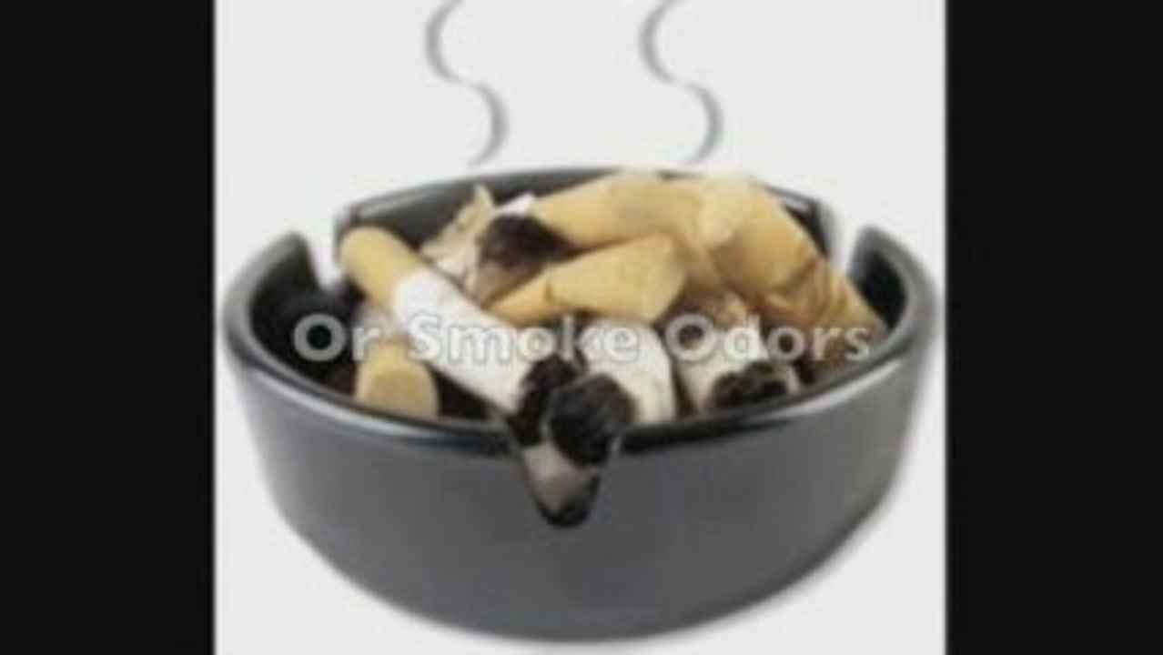 Air Oasis Air Purifier