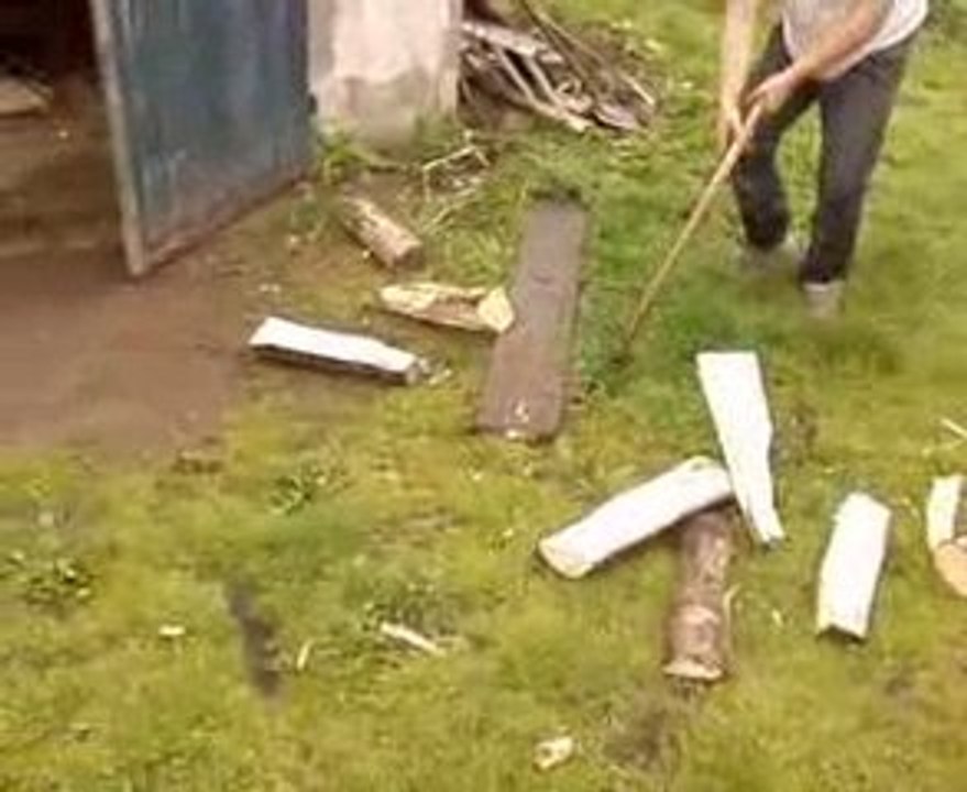 Les Buch: Découvrez leur univers