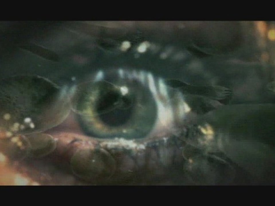 Origine : Que s'est-il passé ?