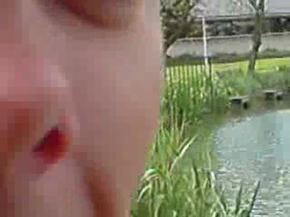 Combat carpX specimen