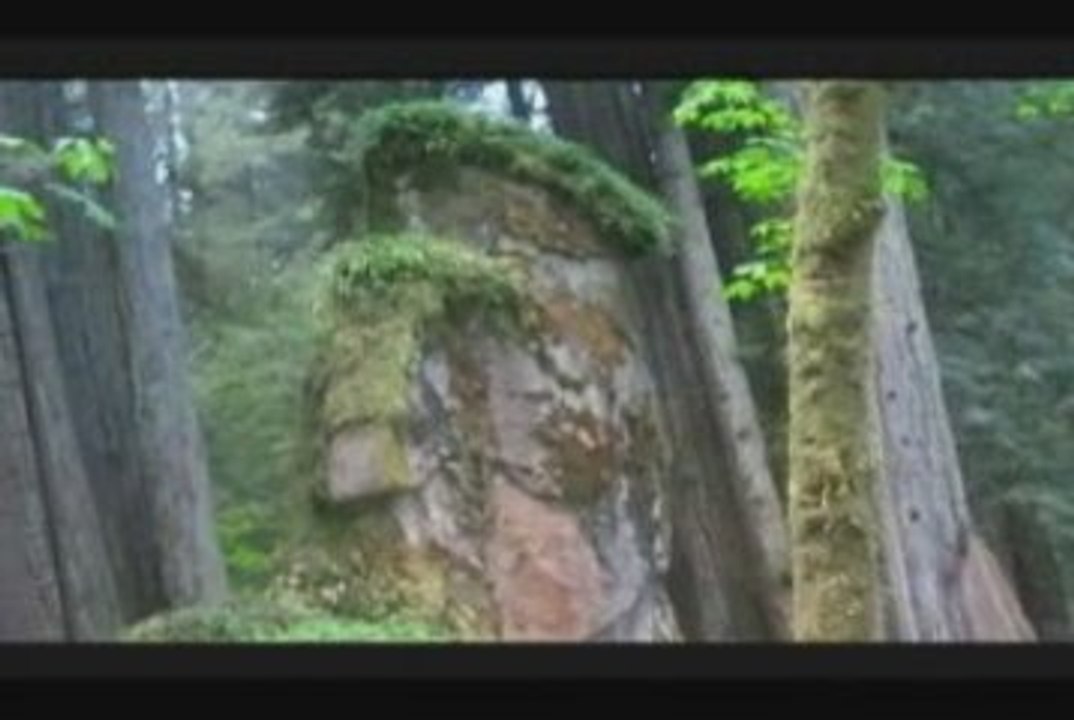 Secret Society Files