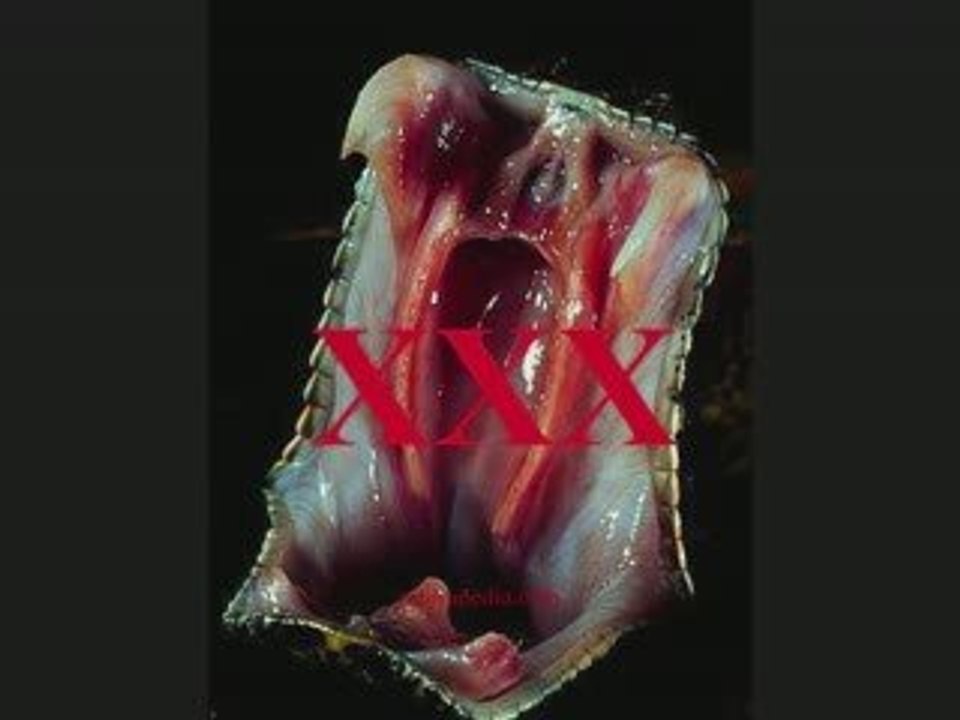 XXX Snakes Among Us - Freemason School Part 6