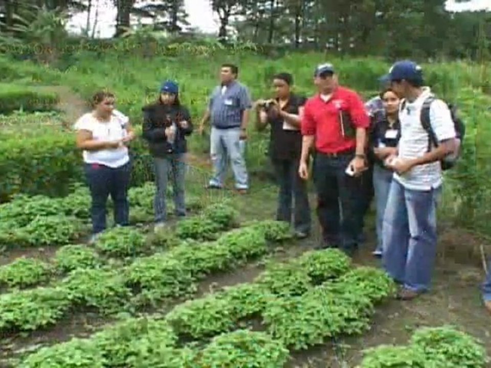 Ruta del Conocimiento