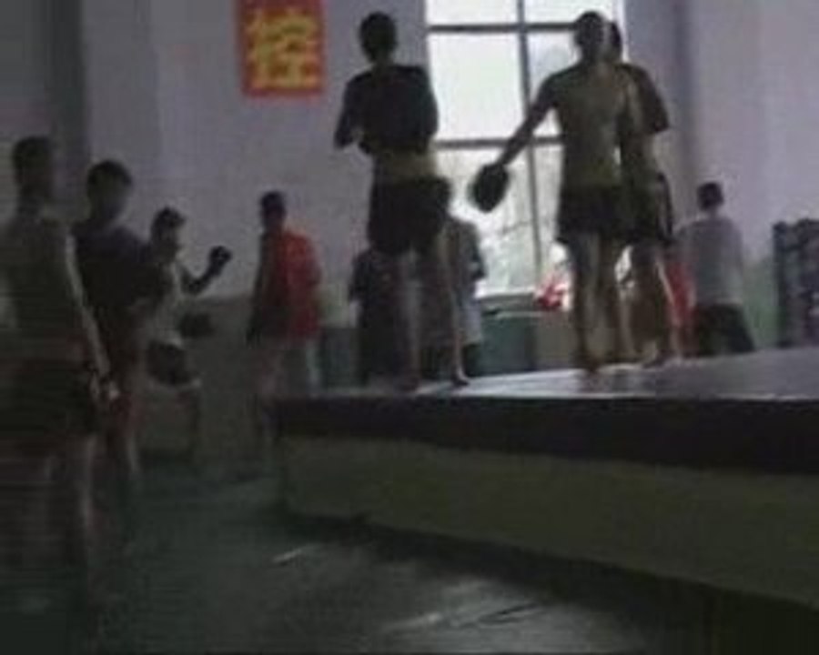 sanda sanshou et qinda