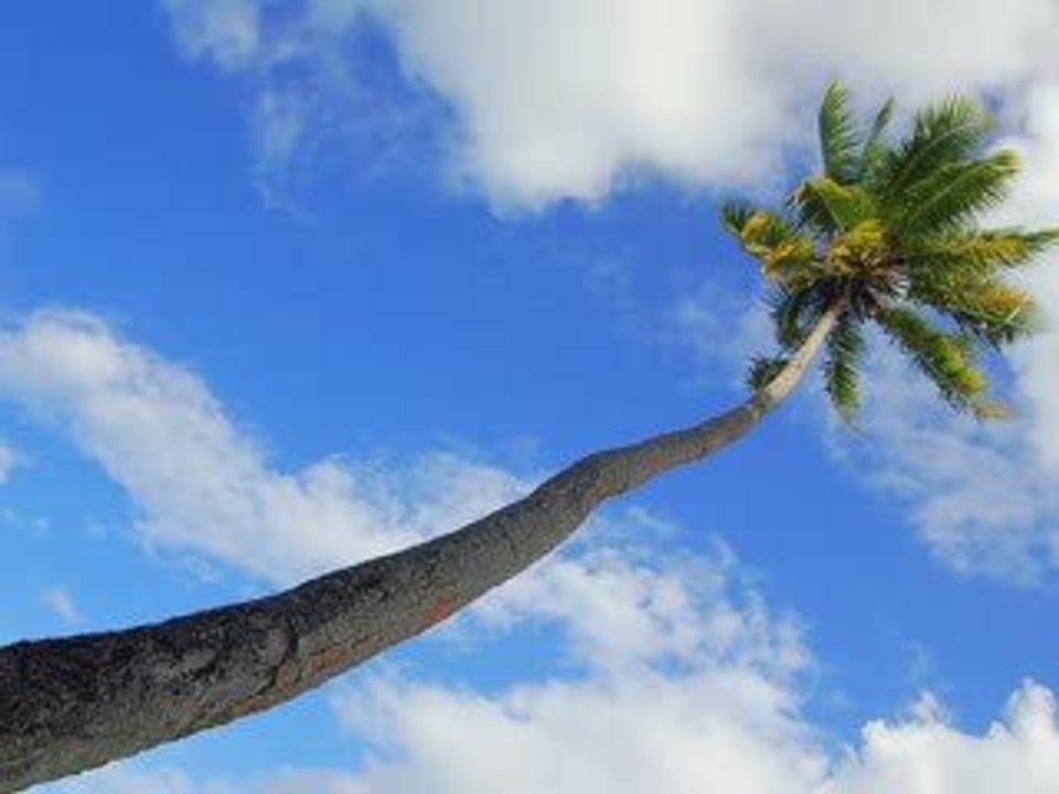 Explore the Stunning Islands of French Polynesia 🌴