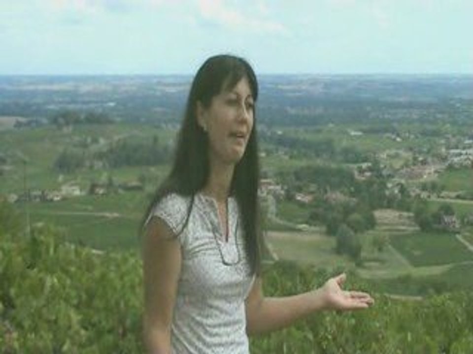 Château Moulin-Favre