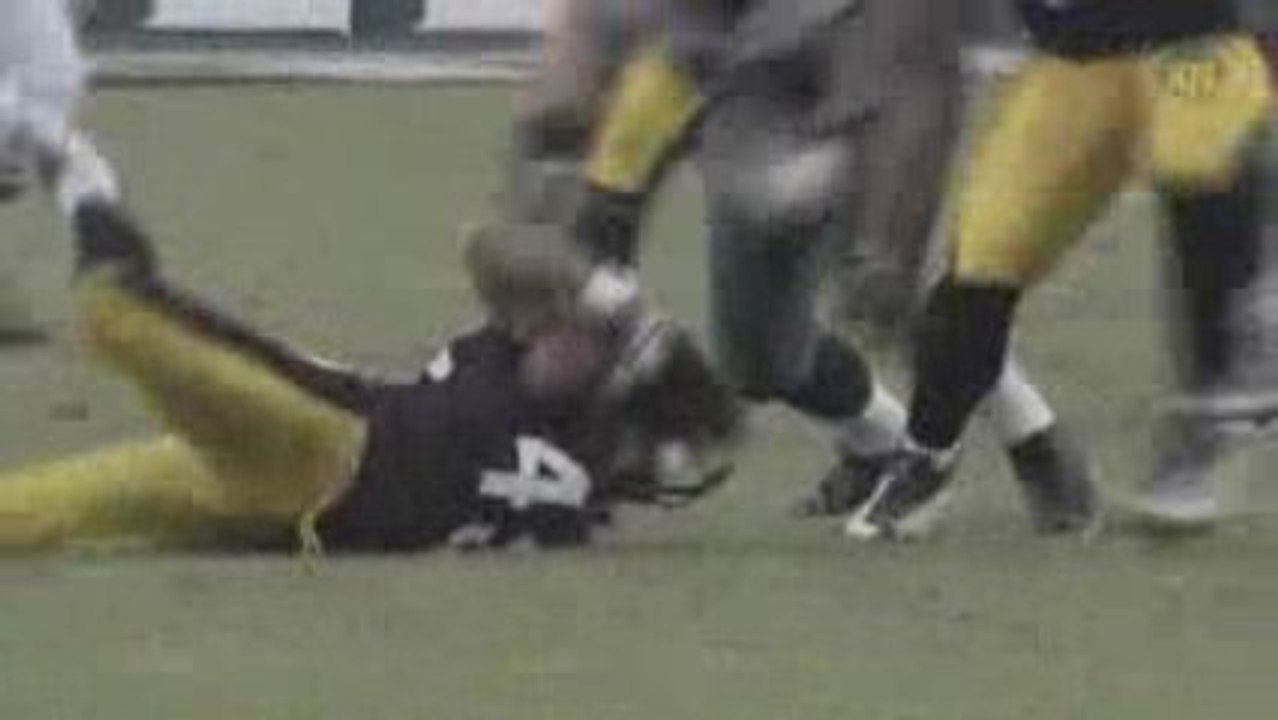 NFL Videos 2008 Best of Troy Polamalu