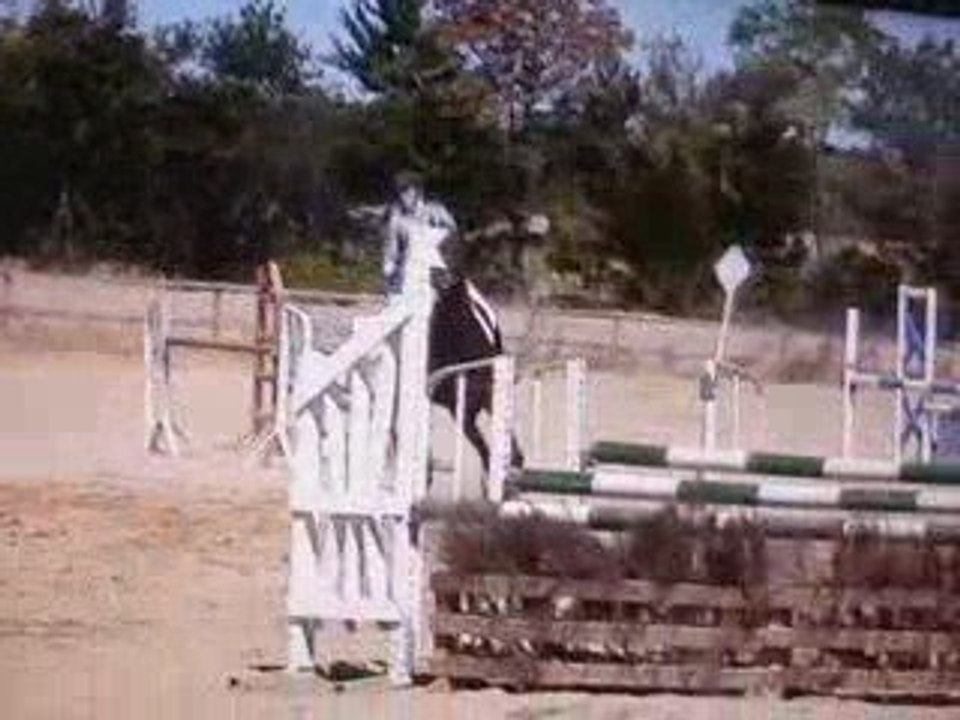 CCE Bazoges en pared