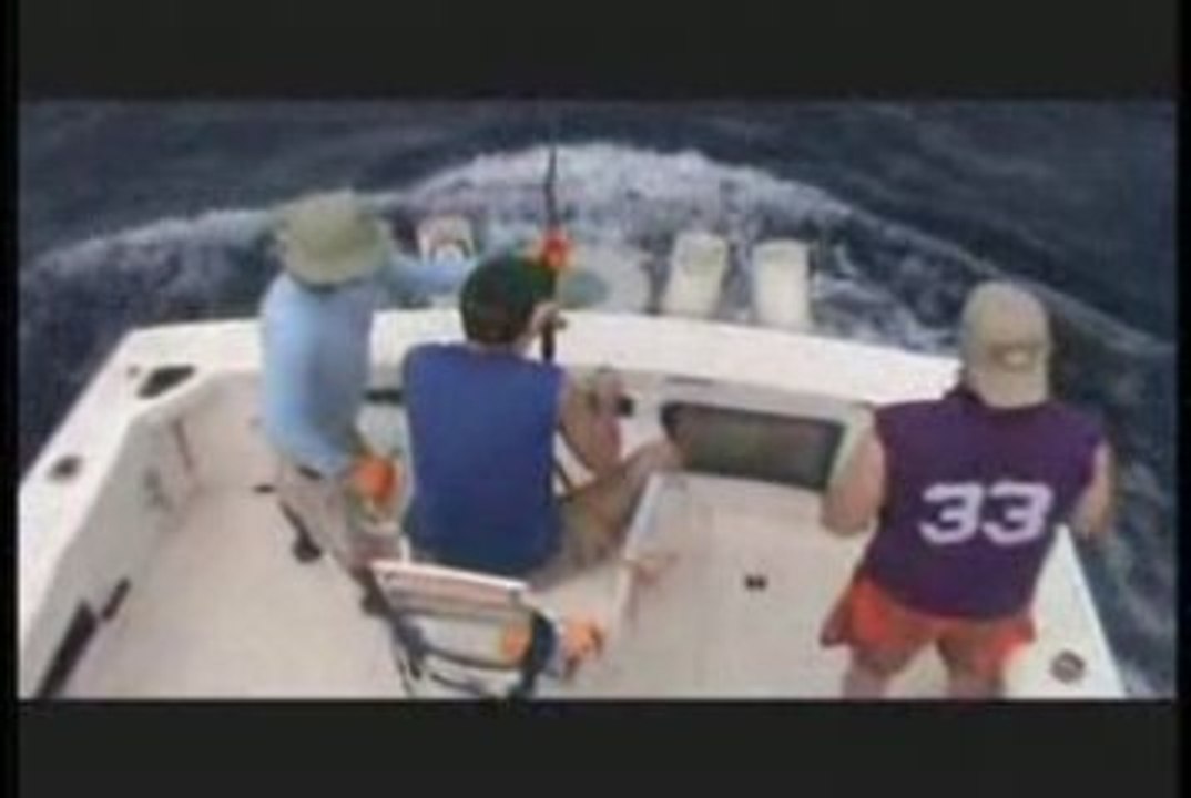 Dorado and Marlin Catch and Release