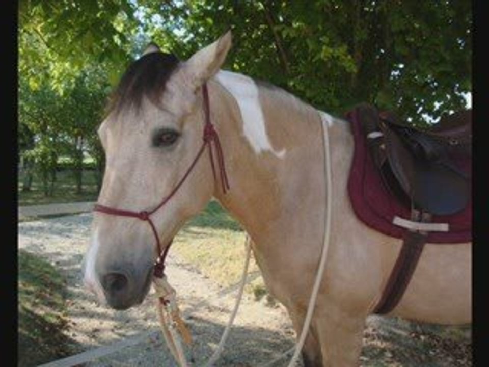 24 Événements du 24 et 25 septembre 📅