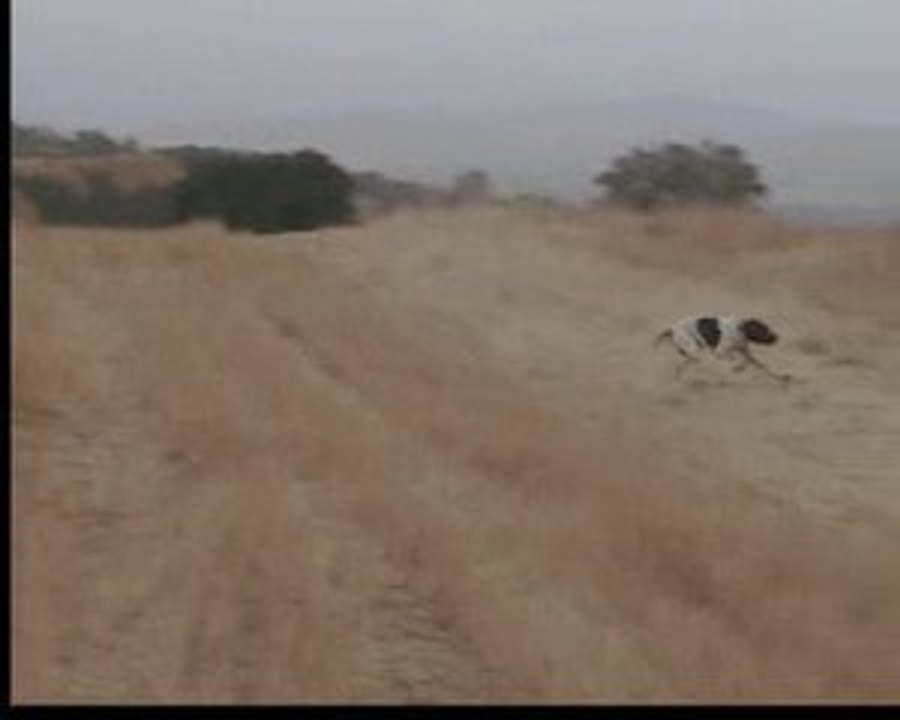 meks ( ing.pointer )