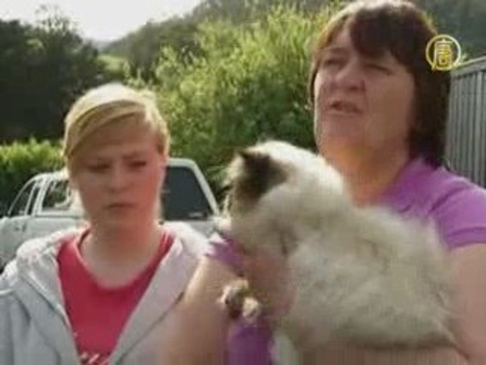 Возвращение австралийского кота после путешествия