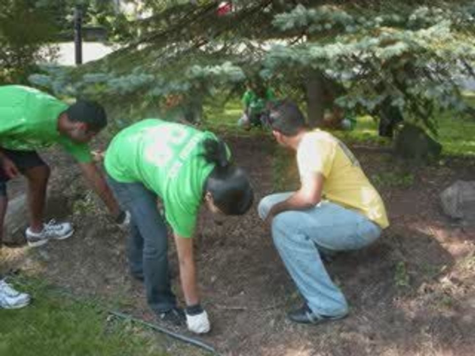 What is IASA? Overview and Purpose