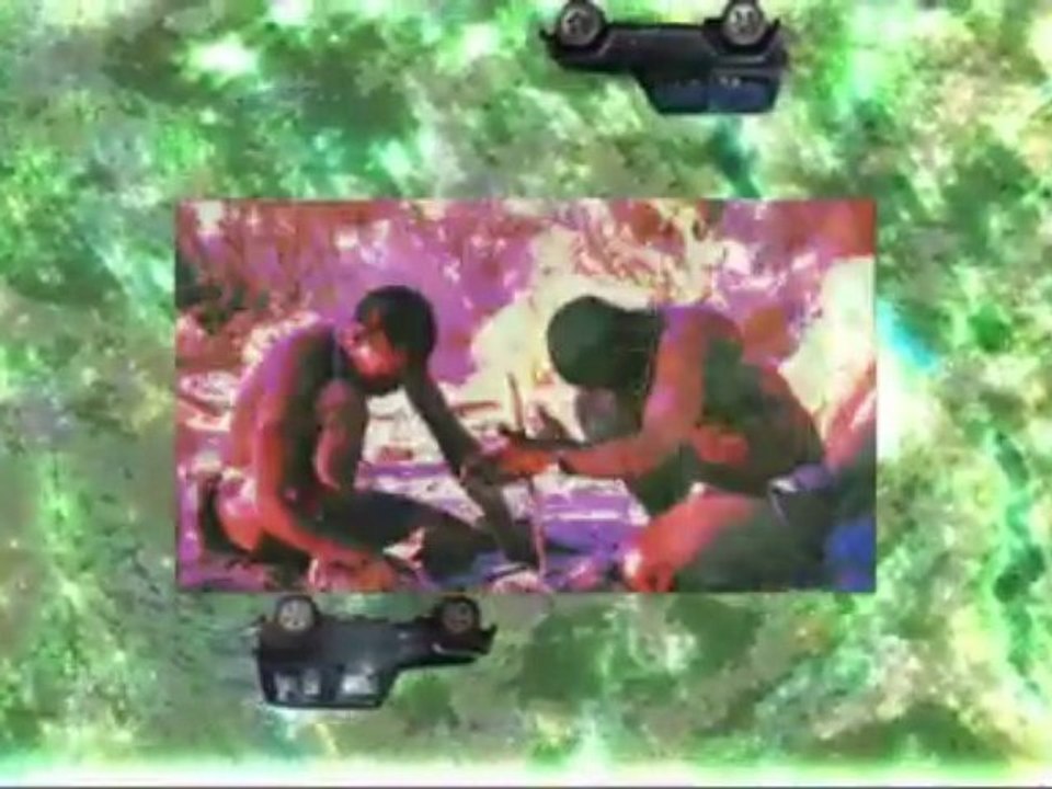 10- AFRIKA SALVAJE -Wild Afrika