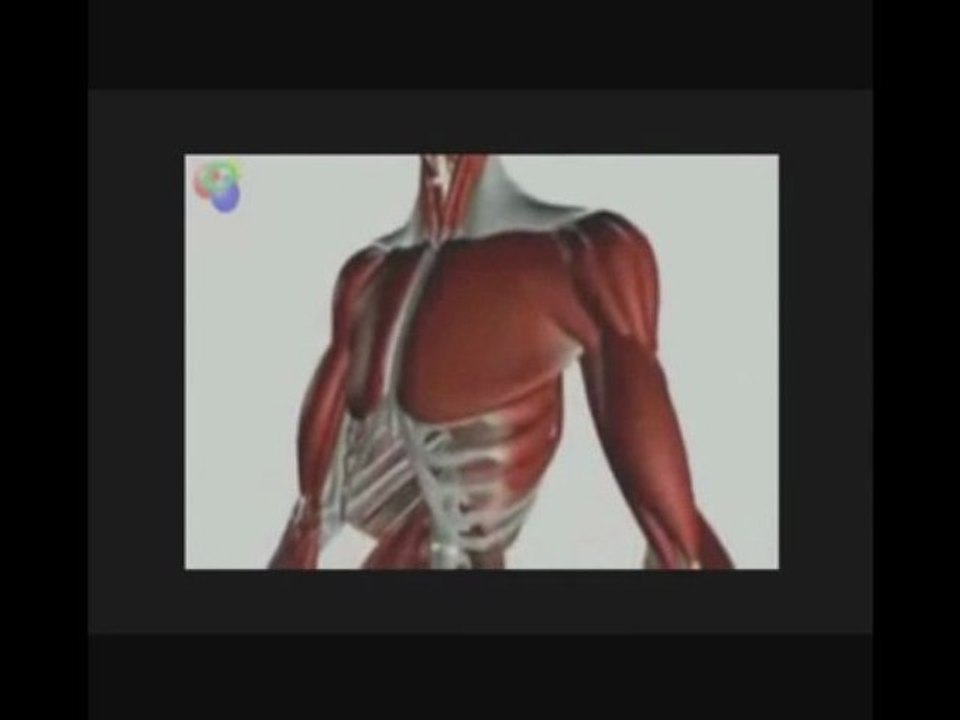 islam christianisme judaisme athées