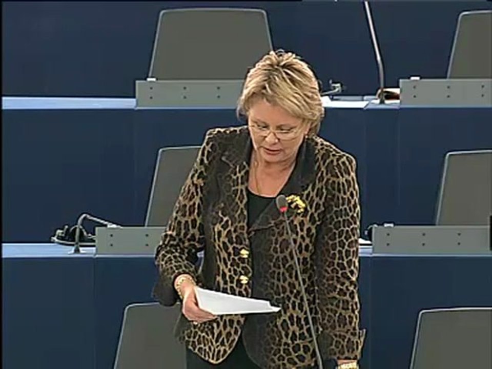 Siiri Oviir's Speech on Vote Explanations