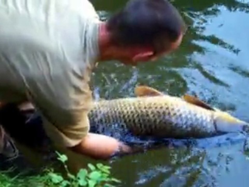 No-Kill Carpe24: River Tackle 🎣