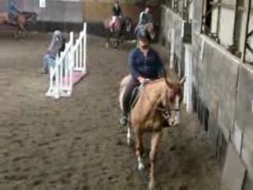 Dressage melly & Kyne ;