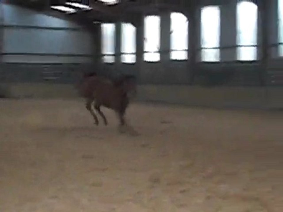 Must & Quantum: Nos Amours 💖