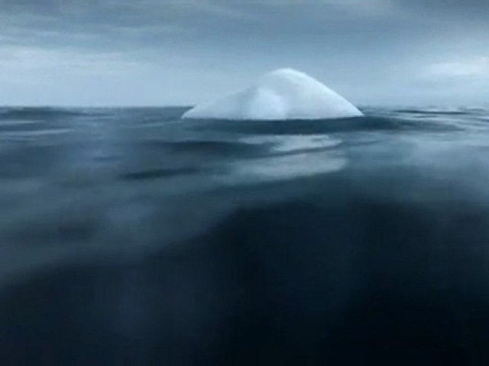 iceberg (greenpeace)