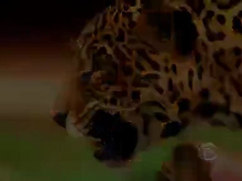 Survivor Heroes vs Villains