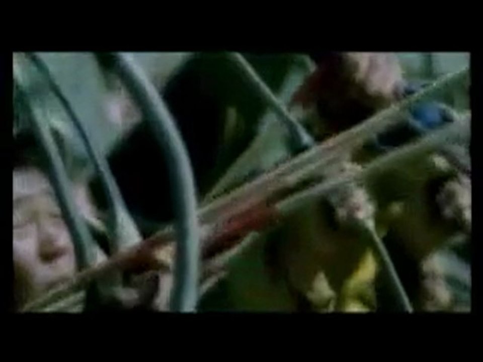 DENİZ GİBİ DALGALAN TÜRK ÇALKAN TÜRK