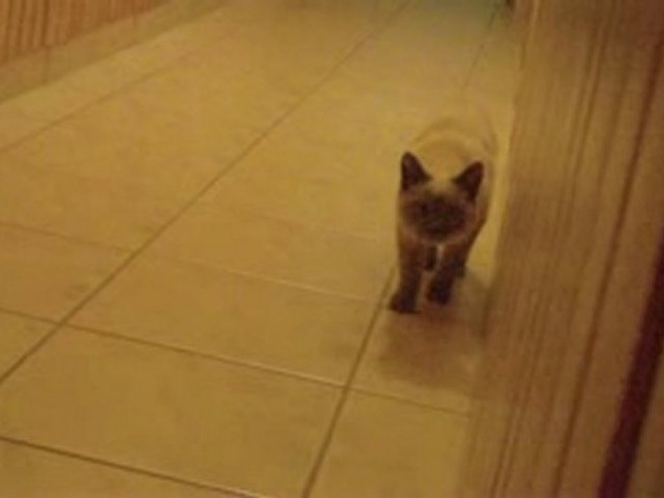 1, Soleil et Twitter: un jeu d'ombre ☀️